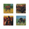 Hiend Accents Horse Coasters Set Of 4