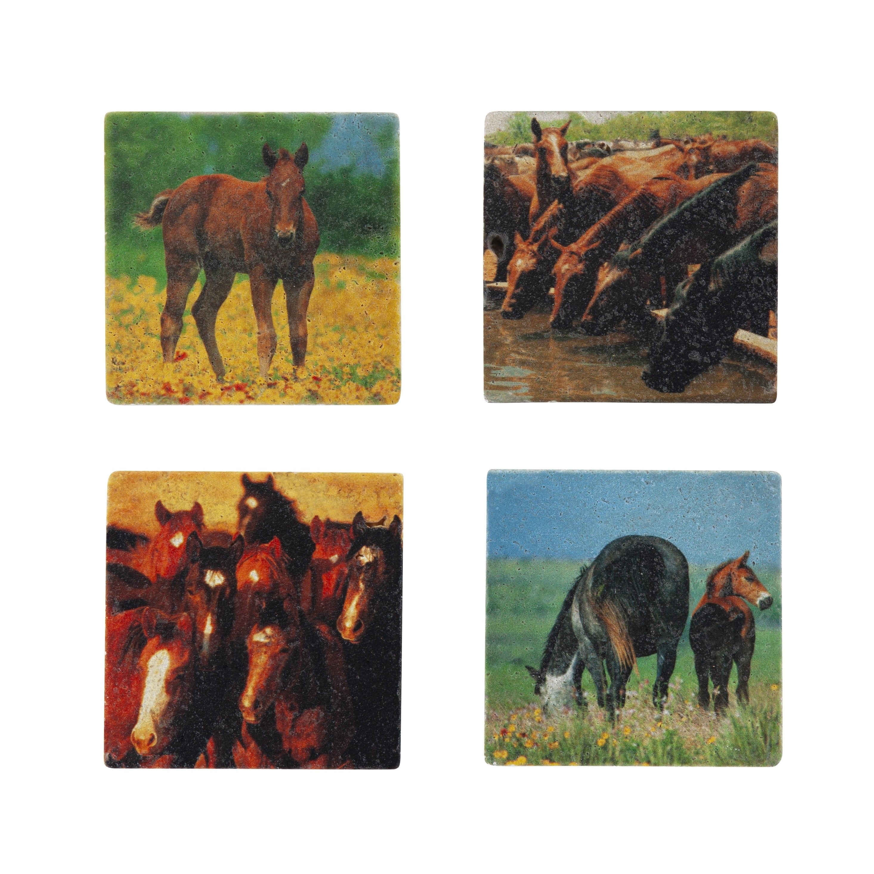 Hiend Accents Horse Coasters Set Of 4