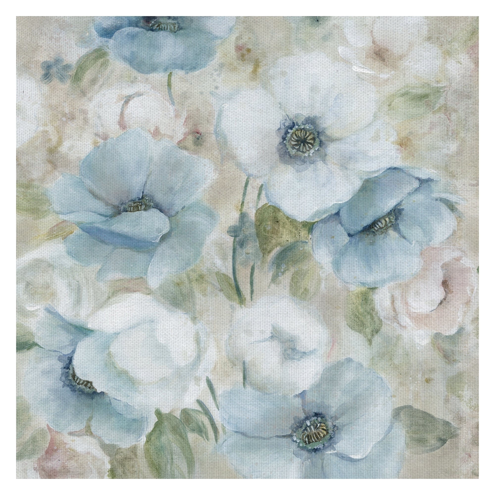Pastel Garden Anemone I By Carol Robinson Wrapped Canvas Painting Art Print