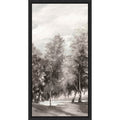 Pathway Through Tranquil Trees Ii By Pi Studio Framed Canvas Wall Art