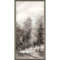 Pathway Through Tranquil Trees Ii By Pi Studio Framed Mounted Canvas Wall Art Print