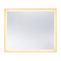 Paulding Led Rectangle Frontlit Mirror With Gold Frame