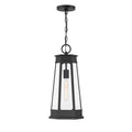 Payne 1 Light Outdoor Hanging Lantern In Matte Black