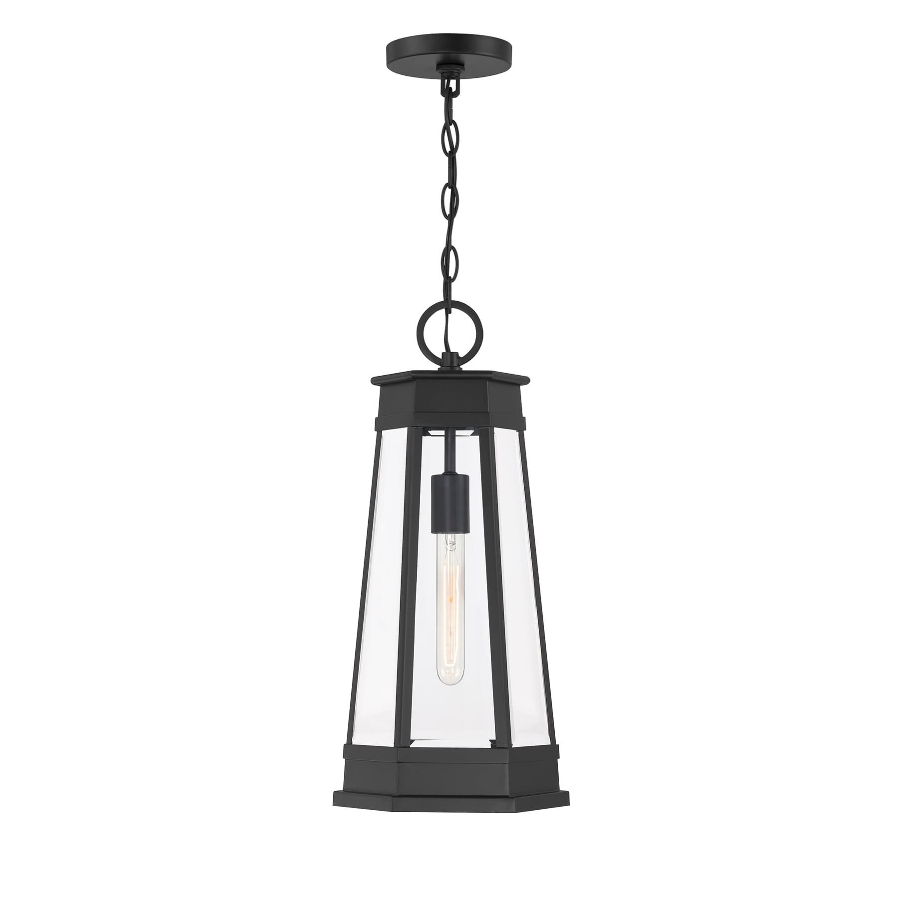 Payne 1 Light Outdoor Hanging Lantern In Matte Black