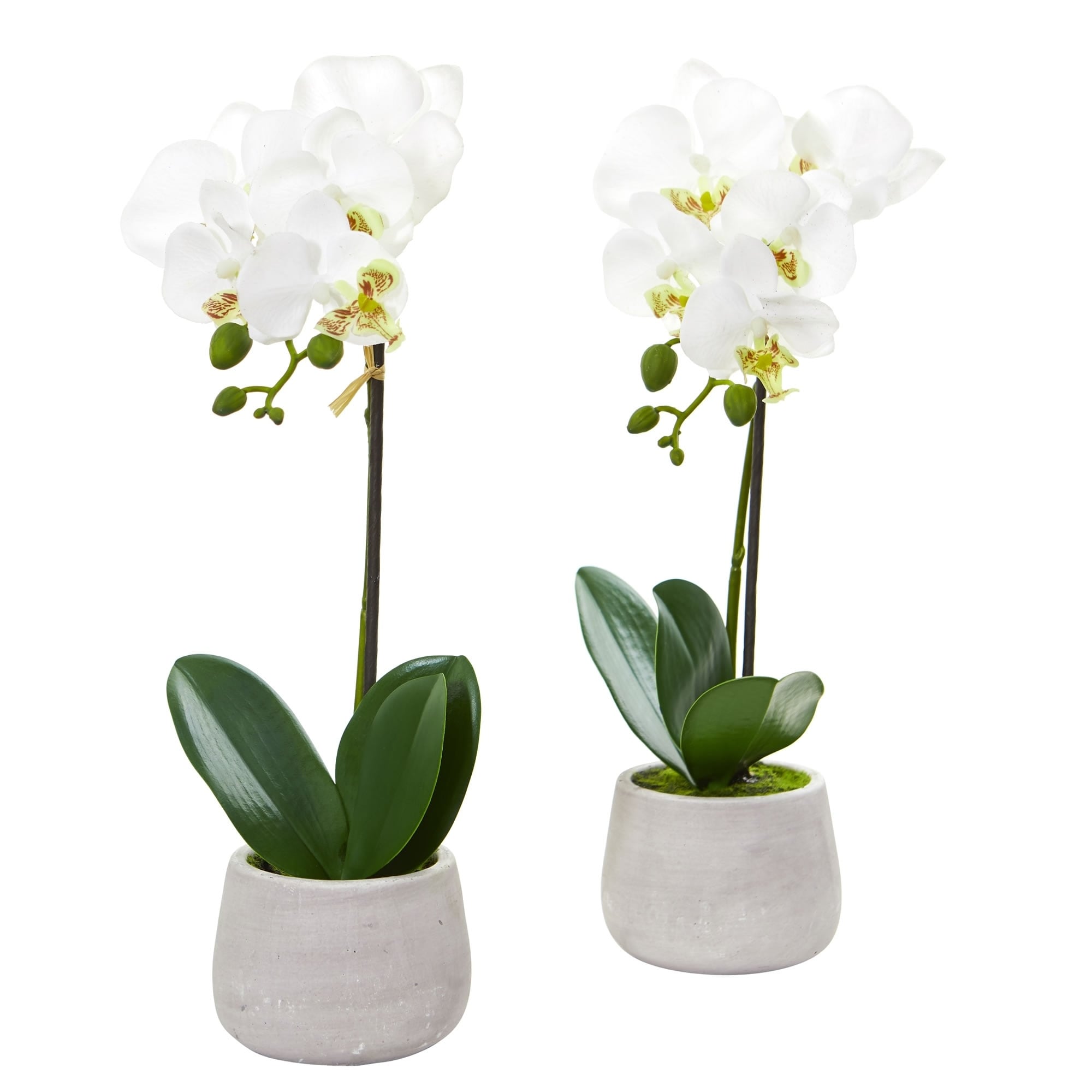 Phalaenopsis Orchid Artificial Arrangement Set Of 2