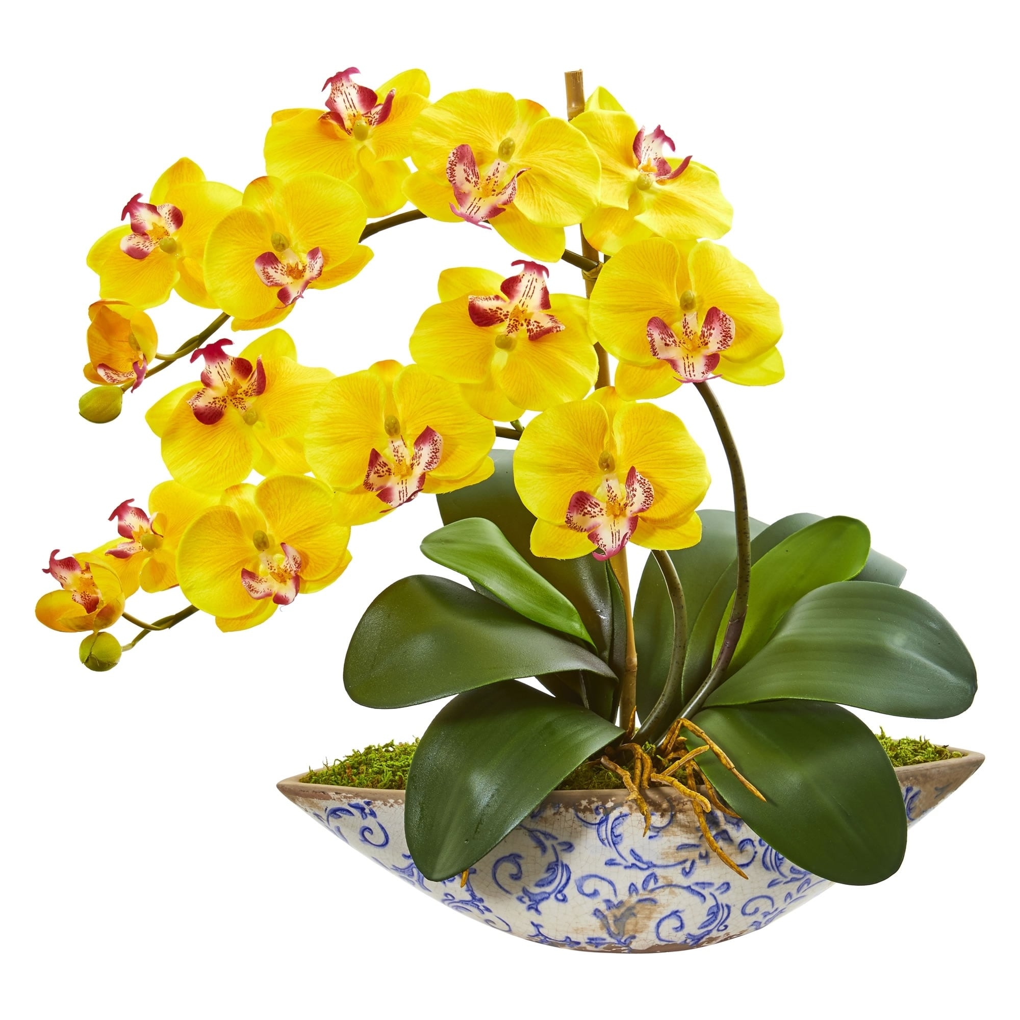 Nearly Natural Phalaenopsis Orchid Artificial Flower Arrangement In Blue White Ceramic Vase