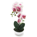 Phalaenopsis Orchid Flower Arrangement In Pot 16In
