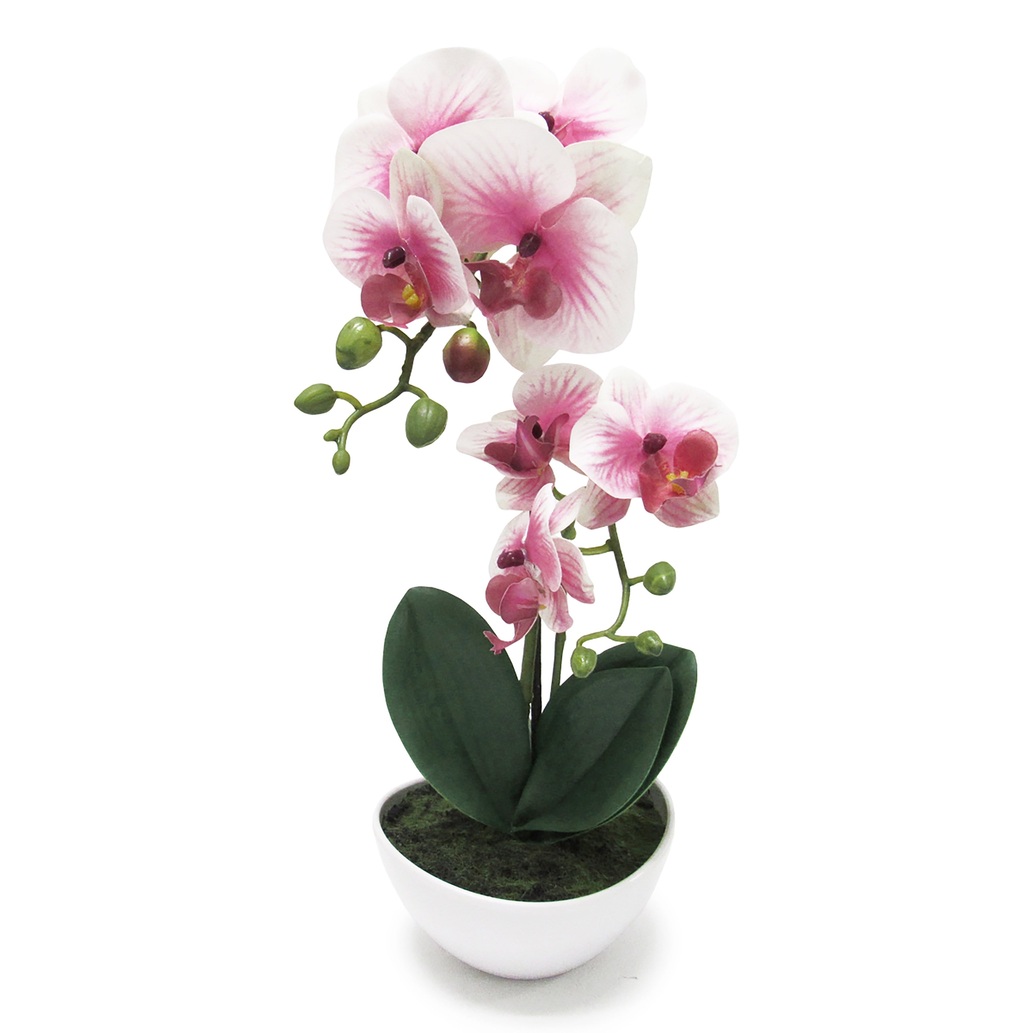 Phalaenopsis Orchid Flower Arrangement In Pot 16In