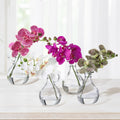 Phaleanopsis In Glass W Handle 9