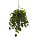 Philodendron Hanging Basket Uv Resistant Indoor Outdoor
