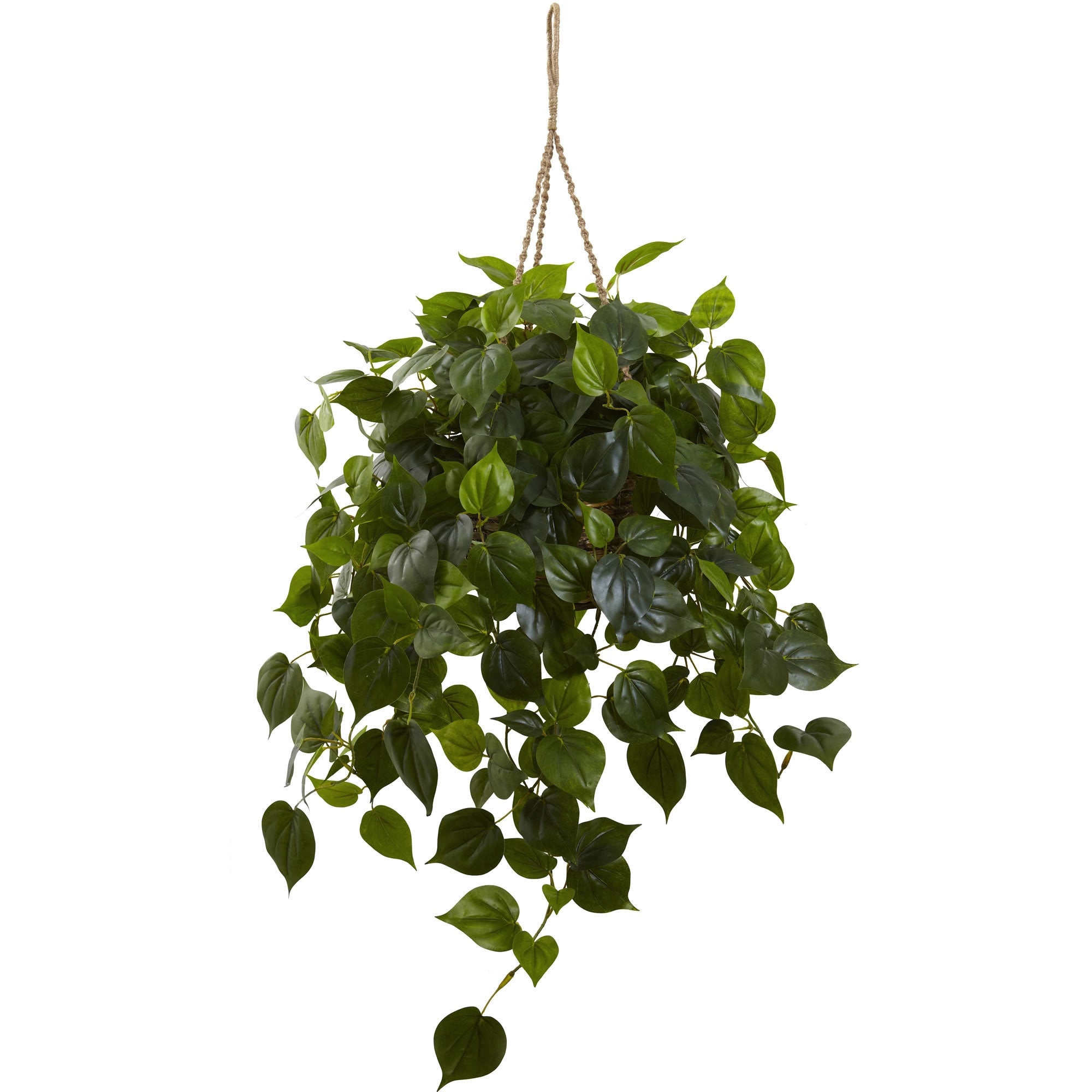 Philodendron Hanging Basket Uv Resistant Indoor Outdoor