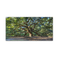 Pierre Leclerc Angel Oak Charleston Gallery Wrapped Canvas Wall Art