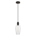 Placido Collection Pendant D5.9 H14.2 Lt 1 Black And Clear Finish