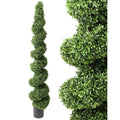American Boxwood Spiral Topiary 72 Plastic
