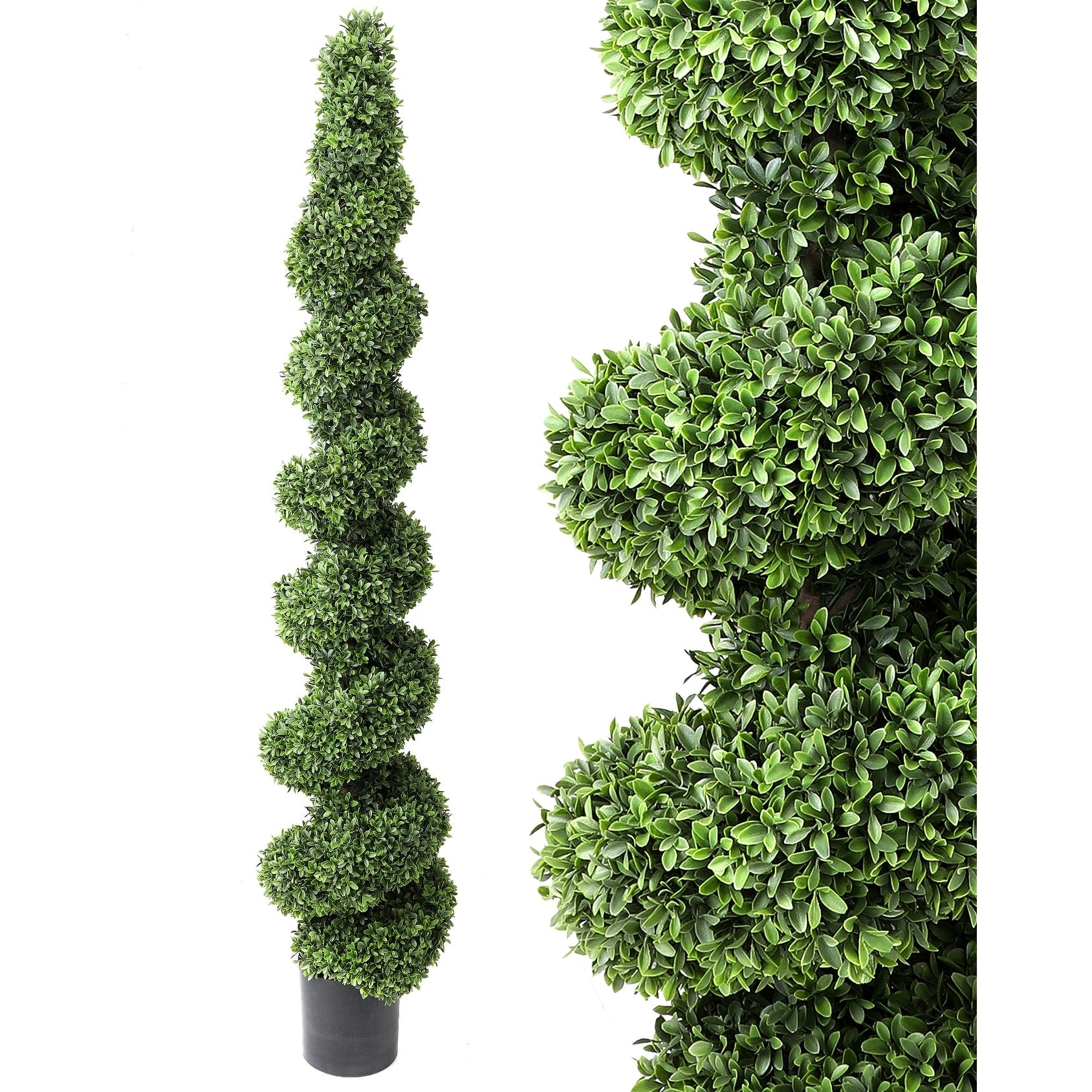 American Boxwood Spiral Topiary 72 Plastic