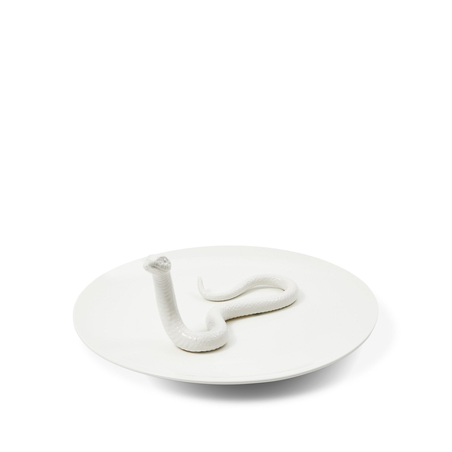 Plate Snake White