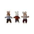 Plush Bunny In Clothes