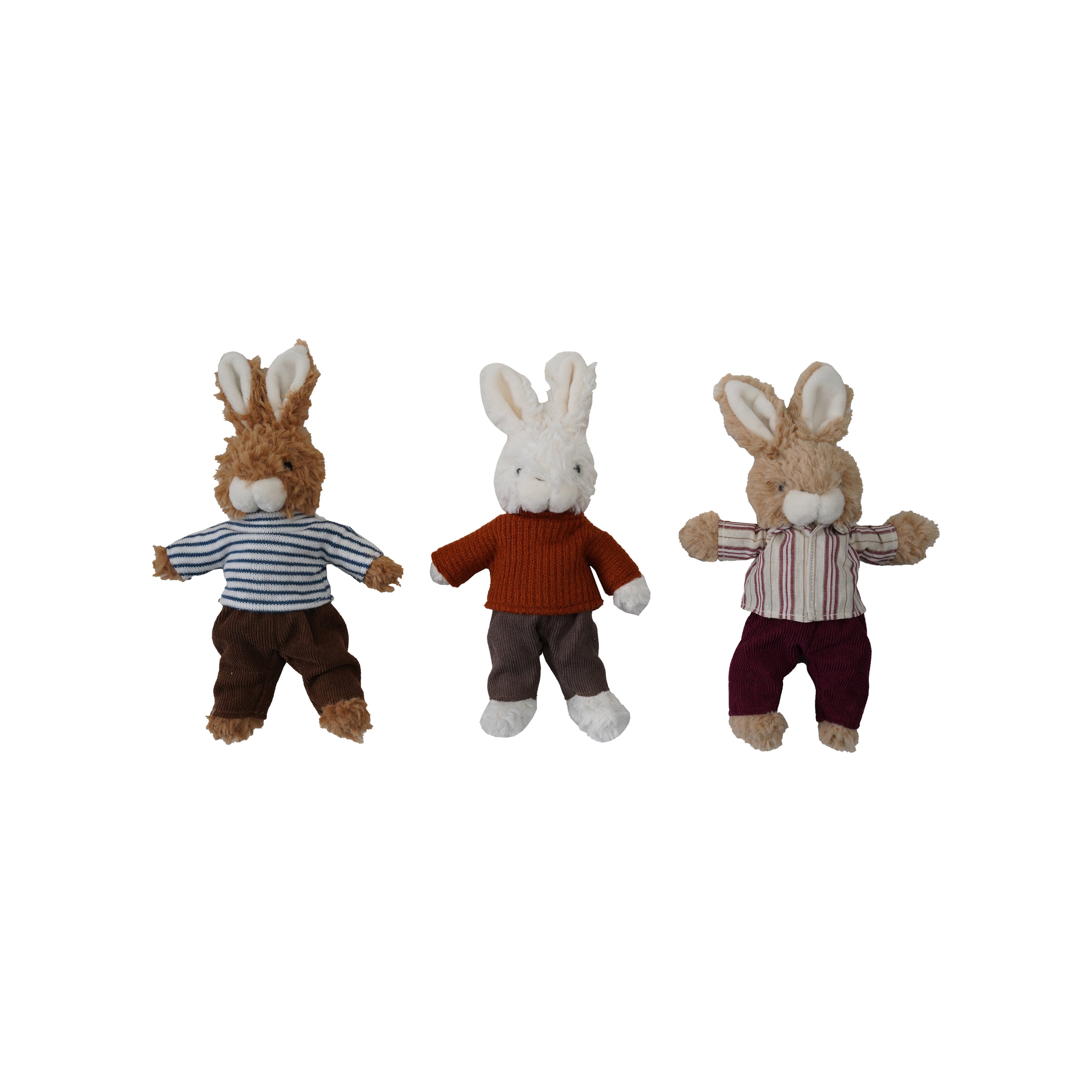 Plush Bunny In Clothes