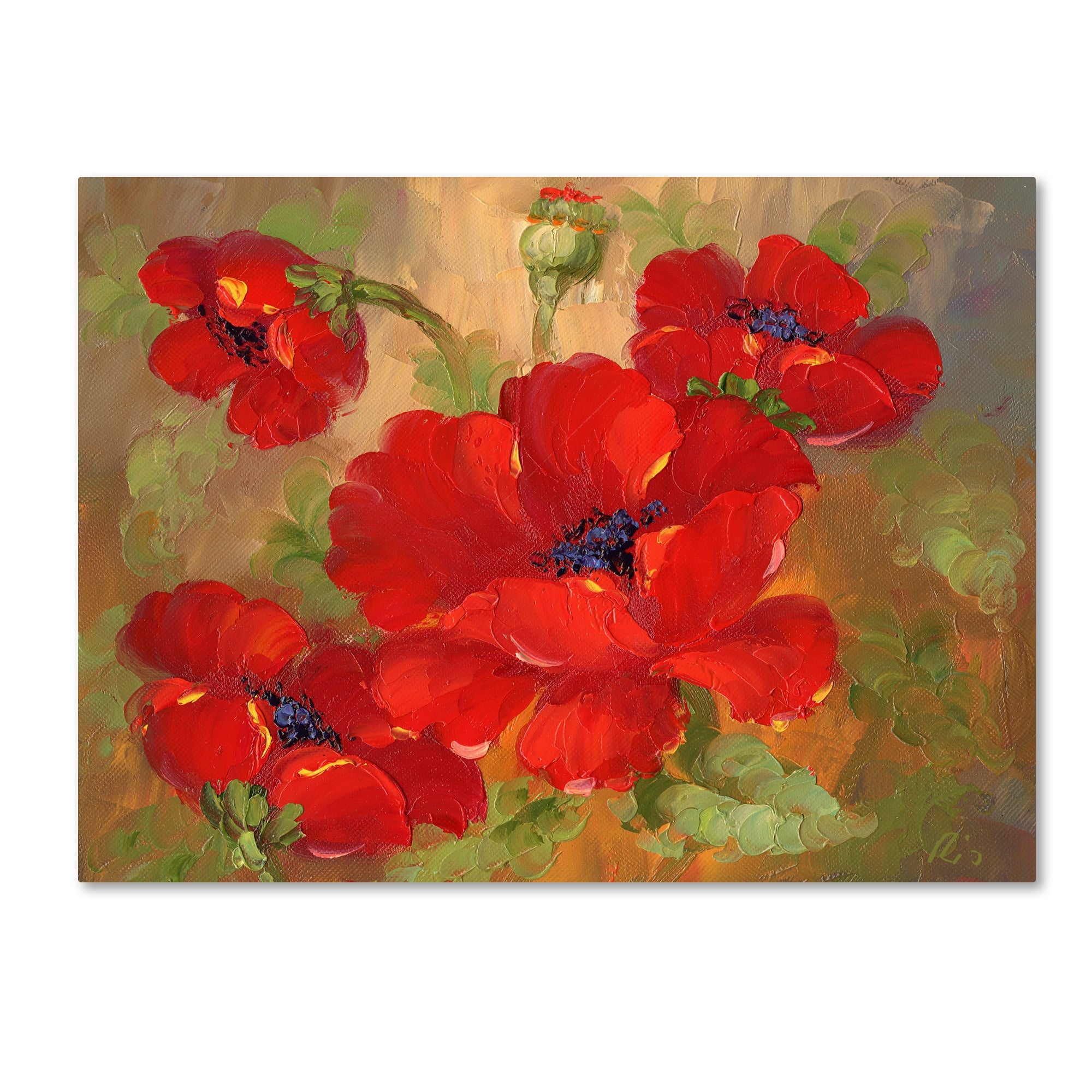 Poppies Canvas Art