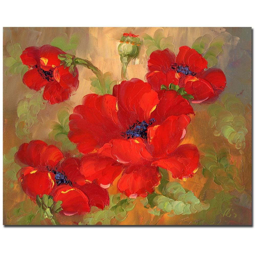 Poppies Gallery Wrapped Canvas Art