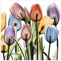 Porch Den Tulip Scape X Ray Ii Frameless Floating Glass Panel Art