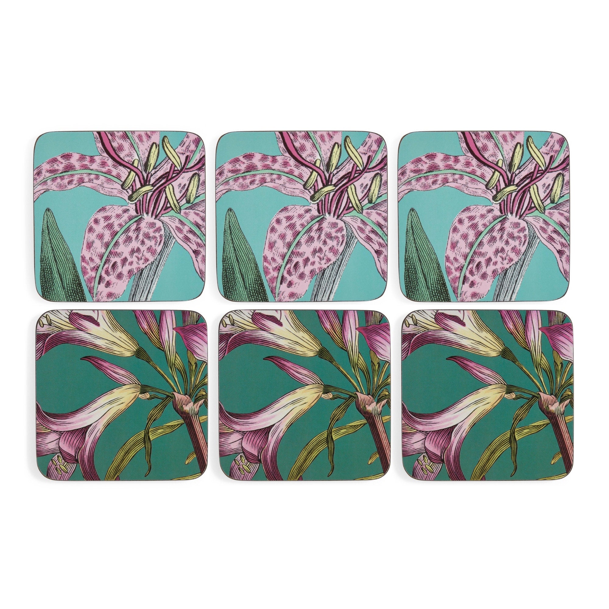 Portmeirion Botanic Garden Flora Fauna Coasters Set Of 6 Multicolor