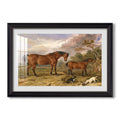 Portrait Of Reformer Blucher Tory And 1835 James Ward Custom Framed Print
