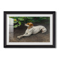 Portrait Of A Dog 1891 Bruno Liljefors Custom Framed Print