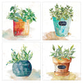 Potted Basil Bay Leaf Rosemary Thyme Herbs By Carol Robinson Canvas