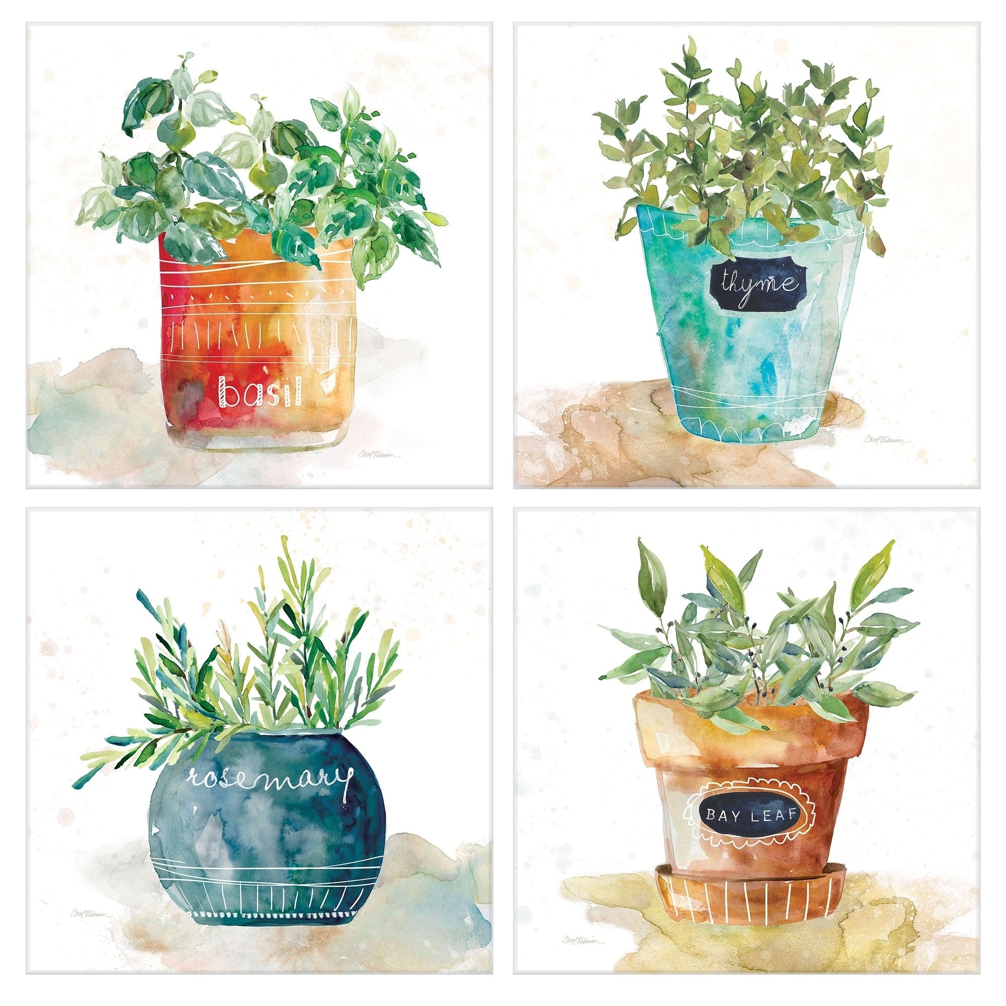 Potted Basil Bay Leaf Rosemary Thyme Herbs By Carol Robinson Canvas