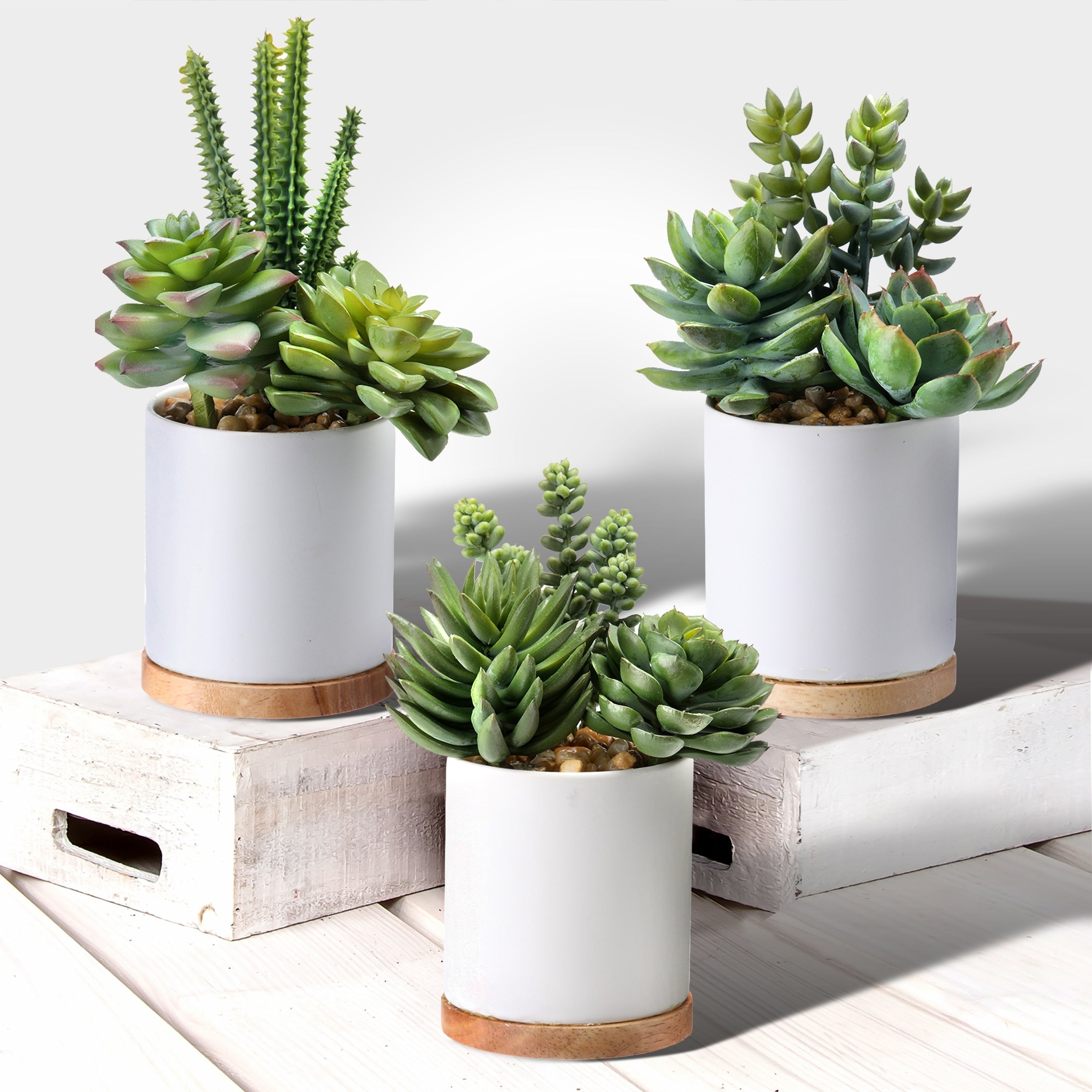 Potted Mix Succulent 7 8 3 Piece Set