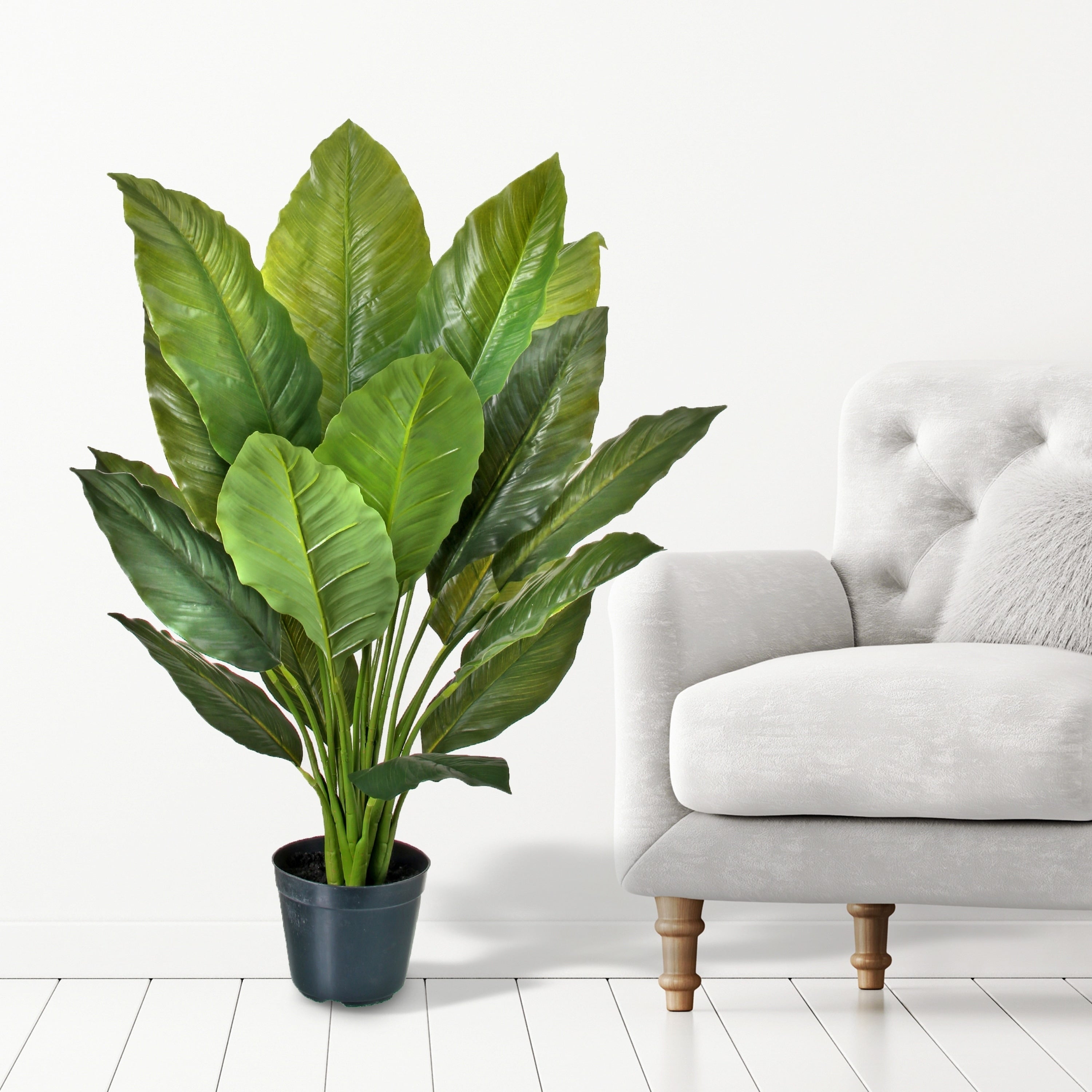 Potted Natural Touch Spathiphylum X28 46