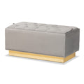 Powell Beige Velvet Fabric And Gold Pu Leather Storage Ottoman