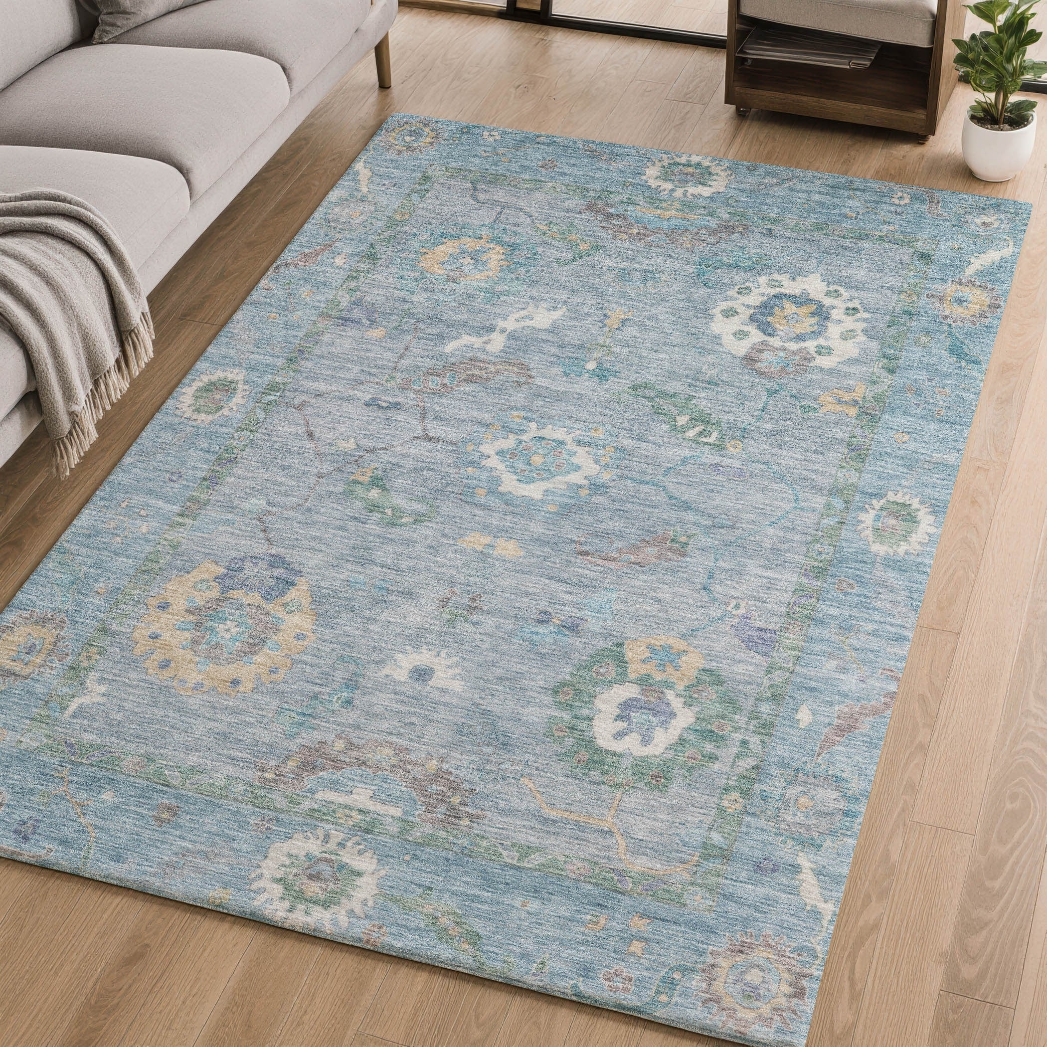 Premium Washable Super Soft Traditional Cohoes Mayfield Rug
