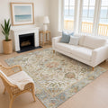 Premium Washable Super Soft Traditional Hinckley Mayfield Rug