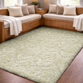 Premium Washable Super Soft Traditional Lansing Dream Shag Rug