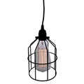 Presley 1 Light Black Adjustable Height 6 Inch Edison Pendant With Bulb