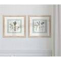 Wexford Home Pressed Flowers On Shiplap I Framed Prints Set Of 2