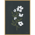 Pretty Little Flower Iii Black By Yvette St. Amant Framed Canvas Wall Art Print