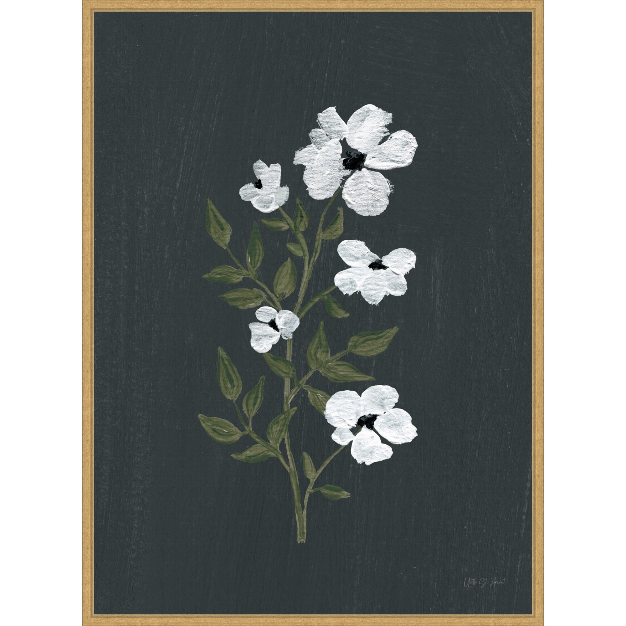 Pretty Little Flower Iii Black By Yvette St. Amant Framed Canvas Wall Art Print