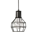 Priscilla Adjustable Height 1 Light Edison Pendant With Bulb