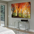 Prism Of Light Gallery Wrapped Canvas