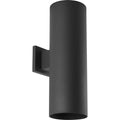 Progress Lighting Cylinder 2 Light Outdoor Wall Sconce With Metal