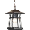 Progress Lighting P5579 84 Derby 1 Light Hanging Lantern 8.5 Inch