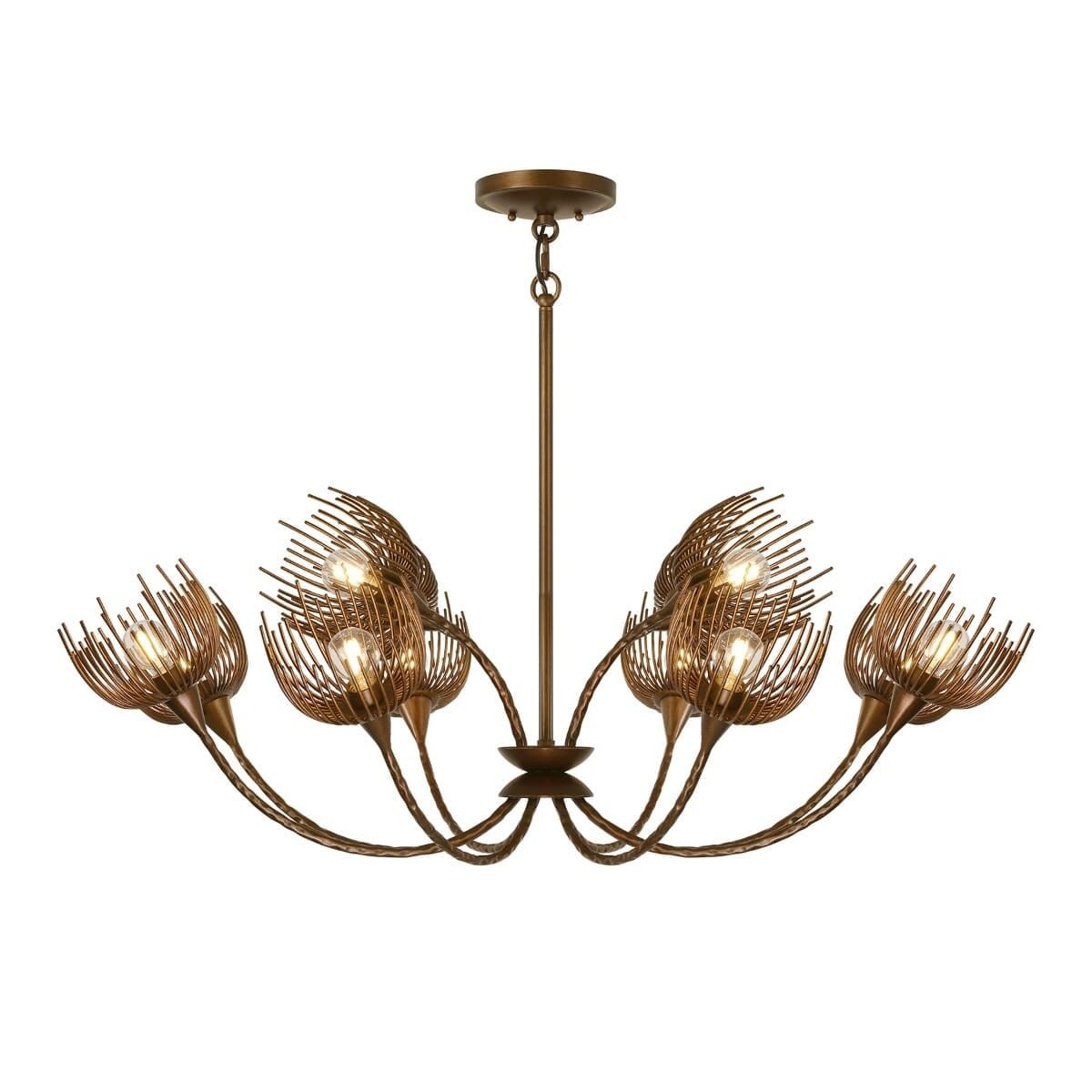Protea 12 Light Chandelier In Manchester By Breegan Jane