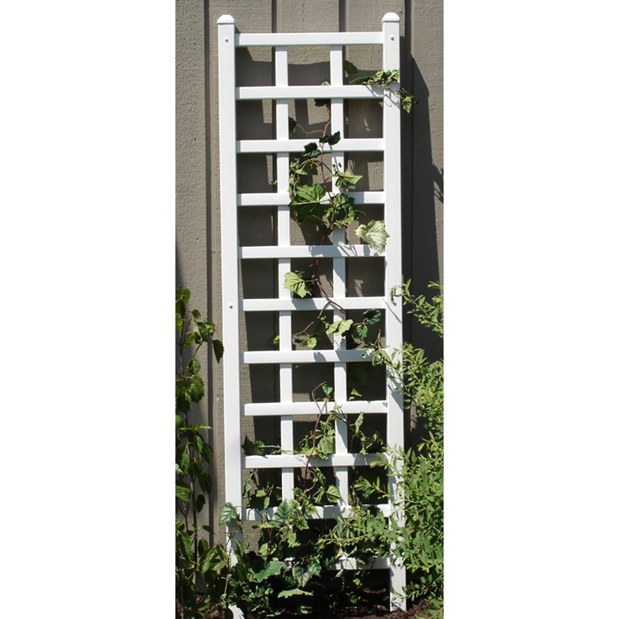 Providence Trellis