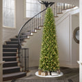 Puleo International 10 Ft Pencil Fraser Fir Pencil Christmas Tree With 650 Clear Lights