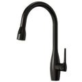 Dual Function Single Handle Pull Down Kitchen Faucet