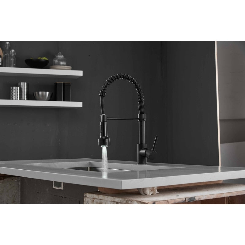 Pull Down Spray Swivel Kitchen Faucet W Led 2 Spout