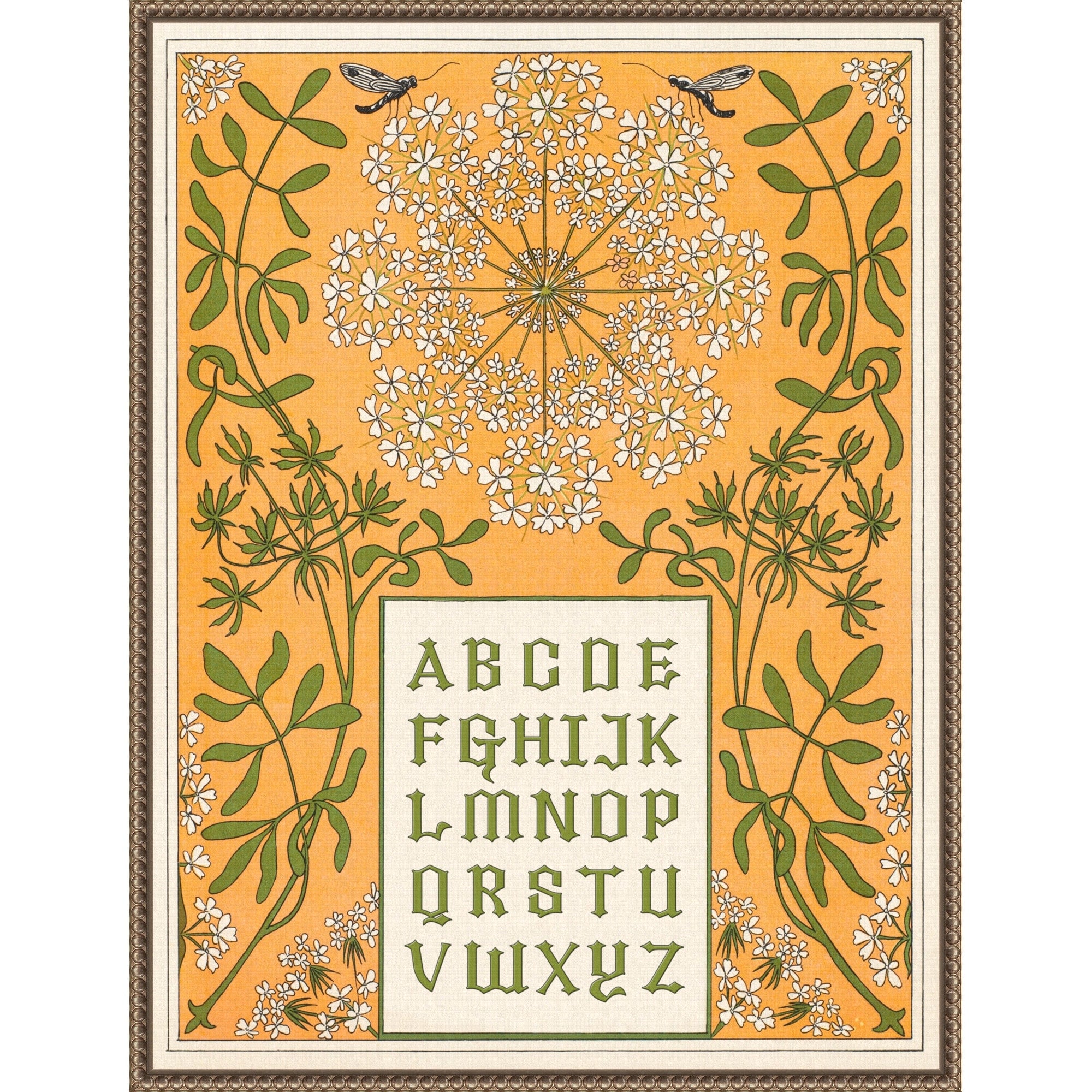 Queen Anne 039 Floral Alphabet Print By Wild Violets Framed Canvas Wall Art